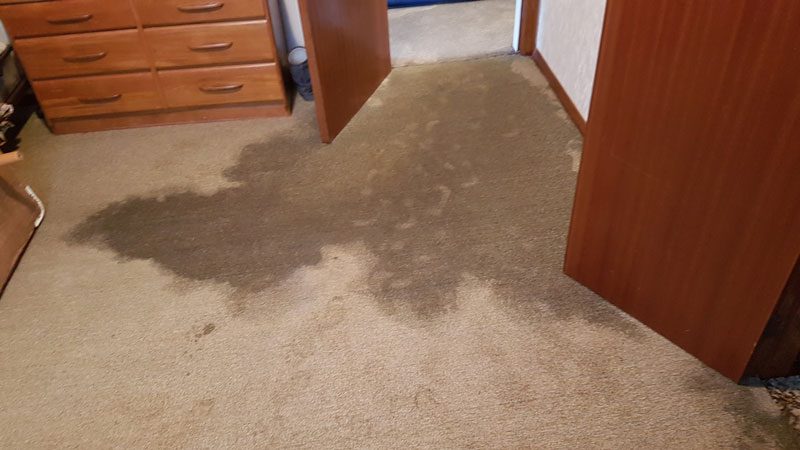 Wet Carpet Drying Melbourne