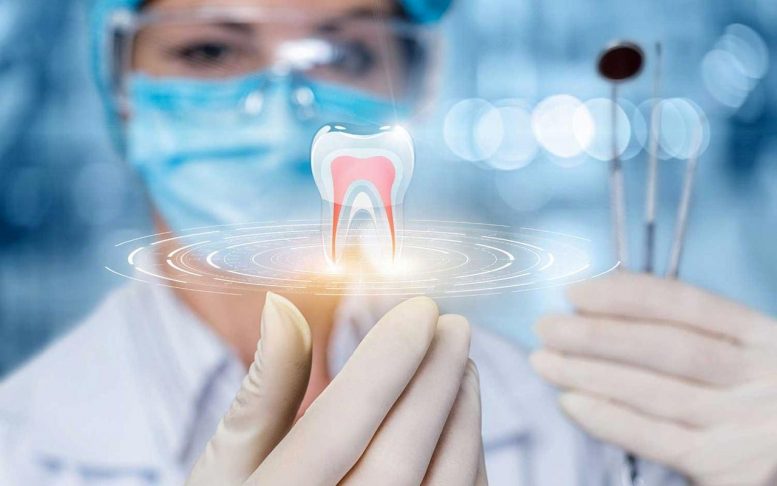 Dental SEO Company